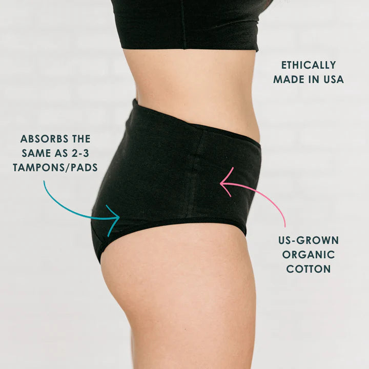 Fabpad Reusable Leak Proof Period, Urine incontinence, Postpartum Panties/Underwear lasts for up to 3 Years - made for heaviest of flow days